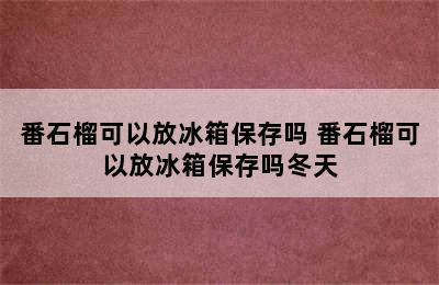 番石榴可以放冰箱保存吗 番石榴可以放冰箱保存吗冬天